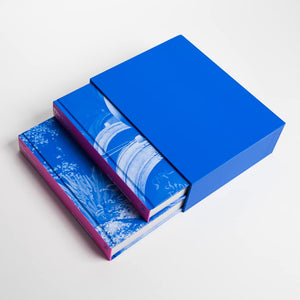 The New French Wine Book by Jon Bonne