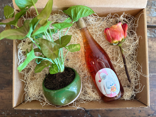 Vida Collab Gift Box 2