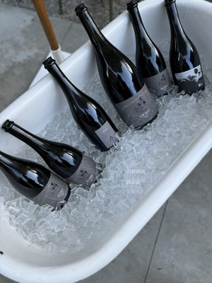 AUGUST 30: Collector Tasting x Cédric Bouchard