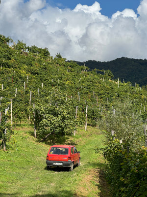 OCTOBER 15: Prosecco Masterclass x Ethica Wines