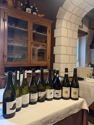OCTOBER 15: Prosecco Masterclass x Ethica Wines