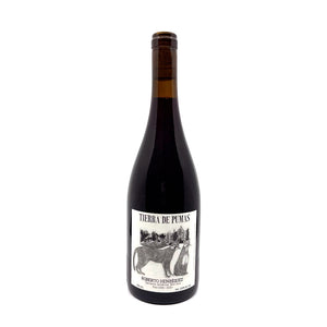 Roberto Henriquez Tierra de las Pumas